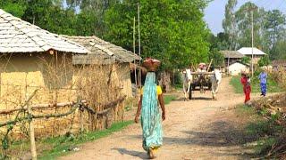 Village Life India Daily Routine Farmer || Real Life In UP Village || Rural Life India