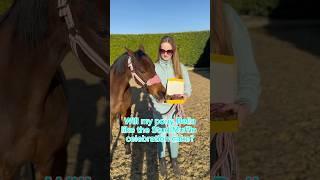 My pony Bella loves the delicious Stud Muffin celebration cake!!! #horse #equestrian #horseriding