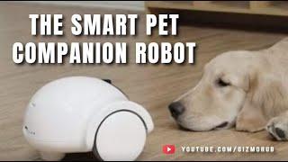 GULIGULI : THE SMART COMPANION ROBOT FOR PETS | Kickstarter | Gizmo Hub