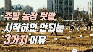 [1편] 주말농장, 텃밭 고민하고 있다면? #주말농장#주말텃밭