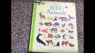 1000 Animals  Usborne Books & More