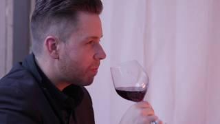 Vintorio Wine Aerator Pourer Customer Review - Modern Wine Decanter + Best Gift for Wine Lovers