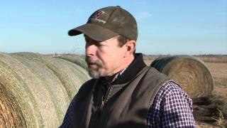 Winter Calving  - January 20, 2012 - Market Journal