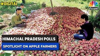 Himachal Pradesh Polls: Apple Farmers Worried Over Higher Production Costs | Digital | CNBC-TV18