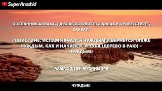 Нашид Гураба с переводом