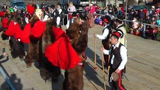 Urs Darmanesti 2017 - Ceata Salatruc - 1