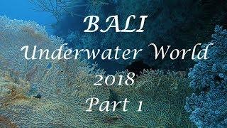 BALI 2018 part 1  - Underwater world - DIVING TULAMBEN