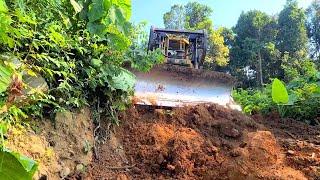 The Perfect Heavy Equipment Caterpillar D6R XL Bulldozer Operator Constructing Forest Road