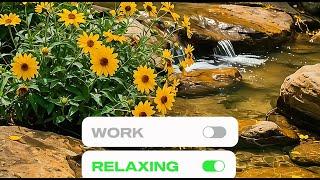 [3 HOUR] ️ Sunlit Workspace for Focus | Stay Motivated with Soft Piano MUSIC | Oxy MUSIC