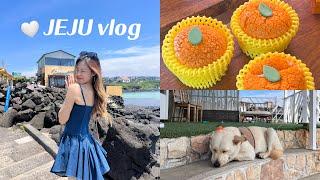 Jeju Island Vlog  Cafe Hopping | Seafood Ramen & Fun Getaway with Friends | 济州岛 Vlog