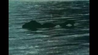 The Mysterious Monsters (1976) Trailer