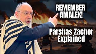 Parshas Zachor THIS SHABBOS! What You NEED to Know! | Daily Halacha #8