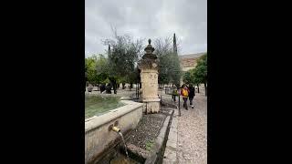 El Patio de los Naranjos #travel #andalucia #córdoba #spain #islamic_shorts #masjid