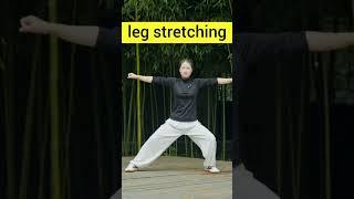 Most Important Taichi Exercises Jincheng