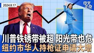 民调：川普在4个摇摆州被追上｜贺锦丽团队已砸$3.7亿买秋季广告｜遭国会驱逐 纽约“造假议员”将认罪｜纽约市持枪证申请激增 华社增幅显著｜44年前女大学生遭谋杀案告破《中文正点》24.8.17