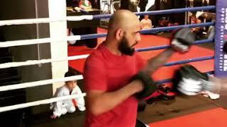 Abbas mollamahdi Kicboxing pads. ( tiger Abbas) Instagram. Tigerabbas