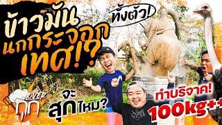 ทำข้าวมันนกกระจอกเทศทั้งตัว!! ทำบริจาค 100kg++! แต่จะสุกไหม!??  [สาระตั้ม-Thumbntk]