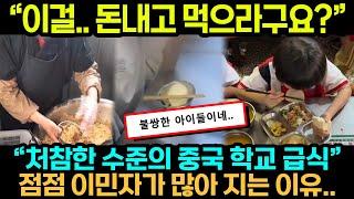 중국반응ㅣ처참하기 짝이 없는 그들의 급식 수준... ㅣ중국의 미래가 어두워지는 이유