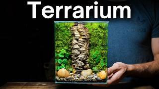 DIY Moss Wall Terrarium: Simple Beginner’s Guide