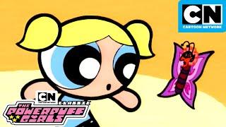 Bubble and The Evil Butterfly | Classic Powerpuff Girls Mega Compilation | Cartoon Network