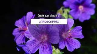 Best Landscape Companies and Contractors Dubai UAE | Garden Design Company &  Swimming Pool Design