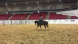 2018 Hal Catchem NCHA Cutting prospect