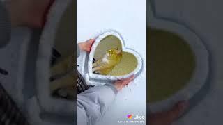 Карина