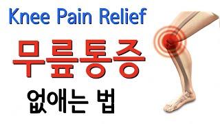 무릎통증 개선을 위한 운동법 | 무릎통증 스트레칭 지압 무릎강화운동 Knee pain exercises Knee Arthritis