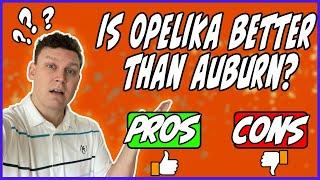 Pros and Cons of Living in Opelika Alabama