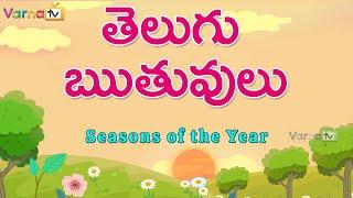 Telugu Ruthuvulu Names | Seasons Names in Telugu | Learn Telugu Ruthuvulu |Telugu Seasons/ Ruthuvulu