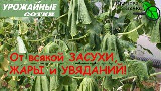 ЭТО ЧУДО! ЖИВОЙ БИОГИДРОГЕЛЬ своими руками - СПАСЕНИЕ от увядания, жары и засухи!