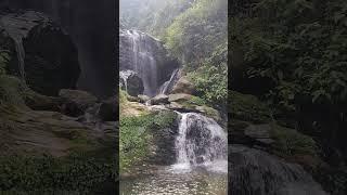 Waterfall in Darjeeling ️