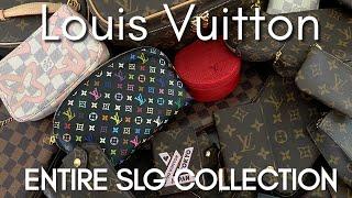 LOUIS VUITTON ENTIRE SLG COLLECTION 2021 | Minks4All