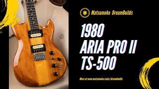 ARIA PRO II TS-500