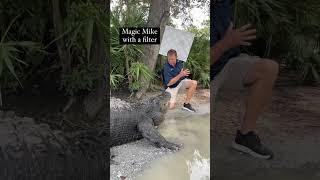 Feeding Alligators without a filter‼️  #gatorland #alligator #crocodile