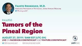 Tumors of the pineal region - Dr. Rodriguez (Hopkins) #NEUROPATH