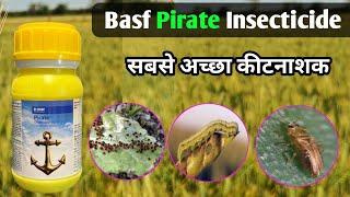 Basf Pirate Insecticide | Pirate Insecticide Kya hai | Chlorfenapyar 24% SC | Pirate Insecticide