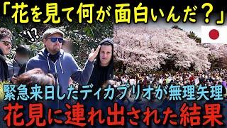 【海外の反応】「店で飲んだ方がいいだろ？」緊急来日したディカプリオを無理矢理花見に連れてきた結果…