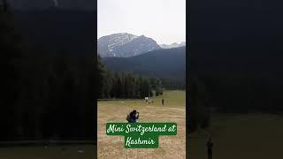 Baisaran valley #Pahalgam#Kashmir#naturelove#mini Switzerland #himalayas