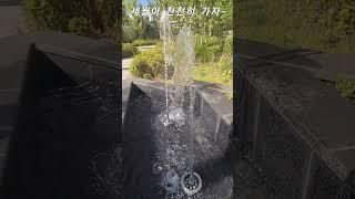 세월아 천천히 가자~