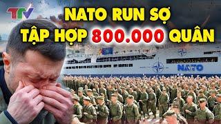 Điểm nóng thế giới 24/11: Nato RUN SỢ tập hợp 800.000 quân, Triều Tiên cũng đưa quân sát Ukraine !