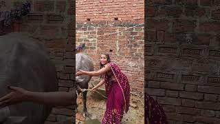 #video| Aeji  Suni ji | Ranjeet Singh,Shivani Singh| New song| bhojpuri hit song|bhojpuri|#trending#