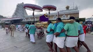 Blessed To See Tirumala Sri Venkateswara Swamy Temple Every Morning