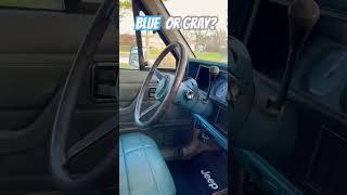 Blue or Gray?  #automobile #car #diy #shorts