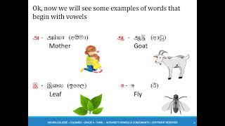 Grade 4   Tamil   1st Term  1  Vowels and Consonants