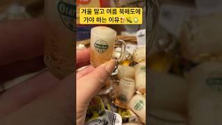홋카이도 일본인은 여름에 가는 이유 #일본여행 #삿포로 #아일랜드트래블러