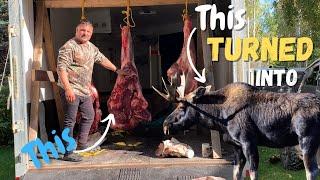 Processing Our Moose, We Killed (Part 3)