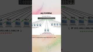 What is Cisco Management VLAN? #ccna  #ccie #ciscoccnp #cisconetworks #internetworks #cisco #juniper