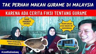 Cerita Fiksi Ikan Gurame di Malaysia 