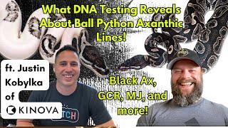 What DNA Testing Reveals About Black Axanthic & More ft. Justin Kobylka of KINOVA!